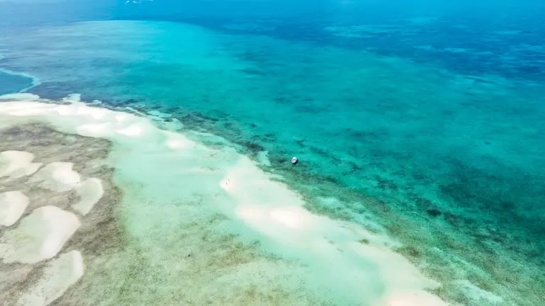 Widok z lotu ptaka na turkusowe wody oceanu przy wybrzeżu Bahamów.