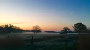 Mgliste pole z drzewami w oddali podczas spokojnego, jesiennego wschodu słońca.