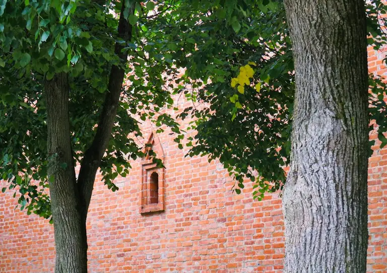 Smoleńsk w 1610 roku: twierdza na zmiennym pograniczu